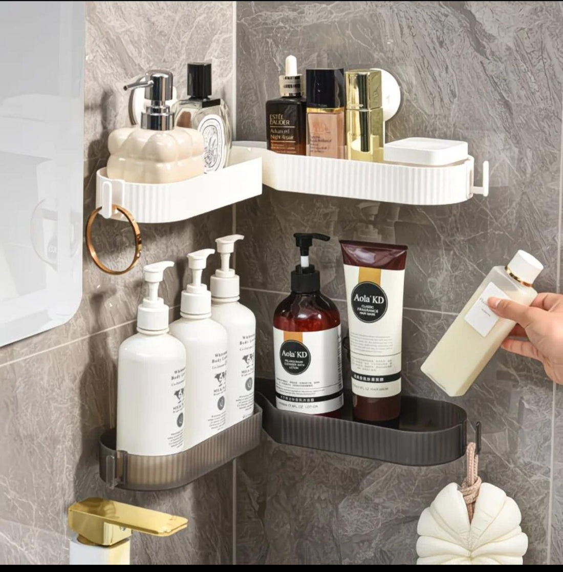 Suction Shelf