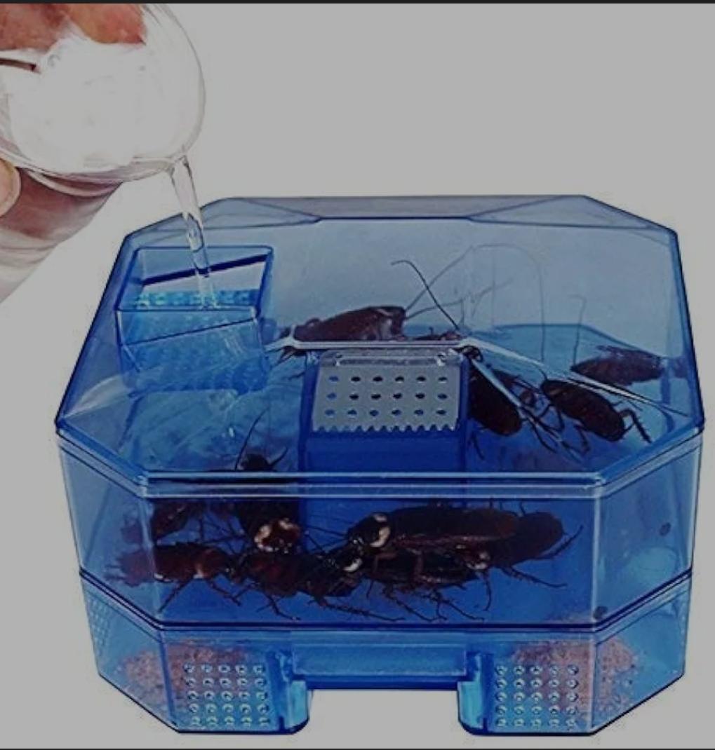 Plastic cockroach trap box