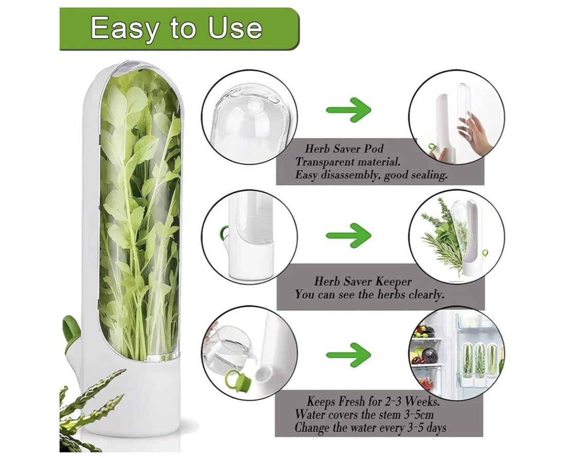 Herb Storage For Refrigerator