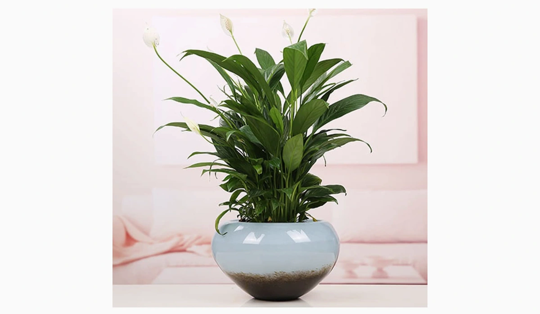 Glass vase