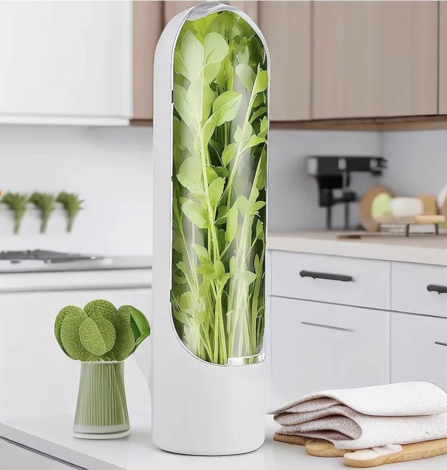 Herb Storage For Refrigerator