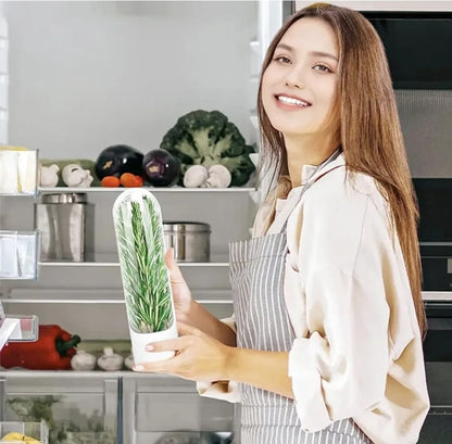 Herb Storage For Refrigerator