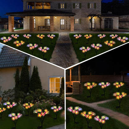 Solar Garden Lights