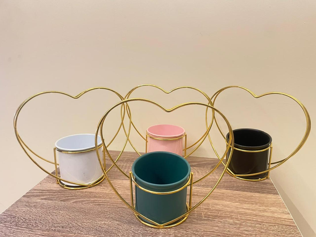Decoration & Furniture 