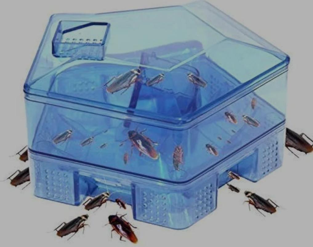 Plastic cockroach trap box
